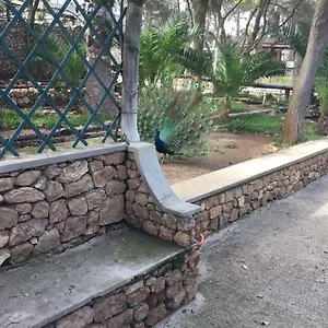 Habitación en casa particular 16, Porto Santo